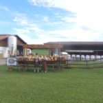 apfel-tom drohne foto m 02