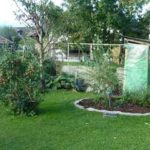 Apfel Tom ueber mich Garten