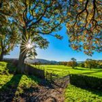 Apfel Tom über mich Wandern kl a