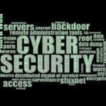 Apfel Tom Portfolio Sicherheit