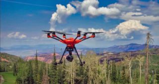 Apfel Tom H - 520 - Land und Forst